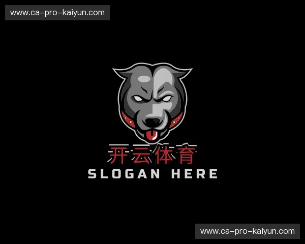 发现开云体育官网